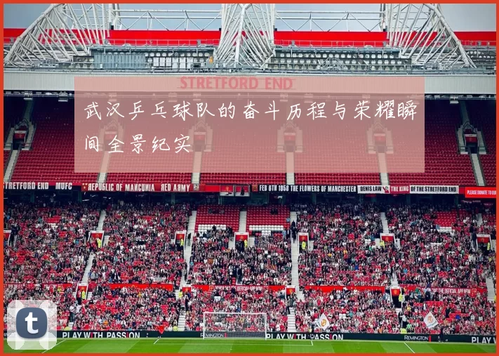 武汉乒乓球队的奋斗历程与荣耀瞬间全景纪实