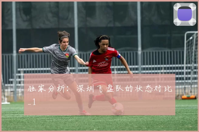 独家分析：深圳飞盘队的状态对比_1