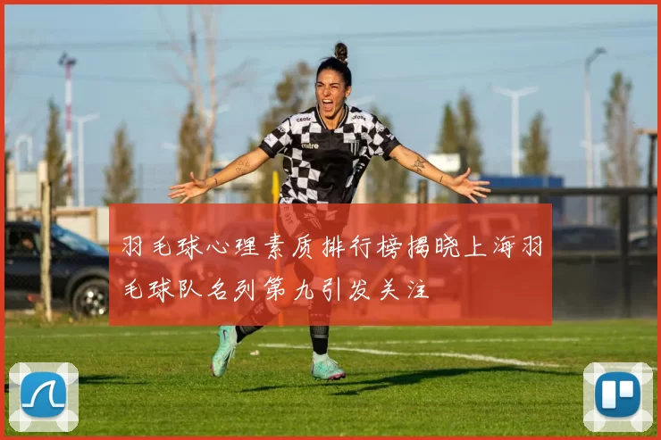 羽毛球心理素质排行榜揭晓上海羽毛球队名列第九引发关注
