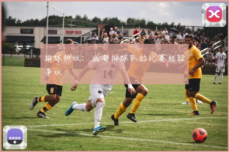 排球热议：成都排球队的比赛经验争议