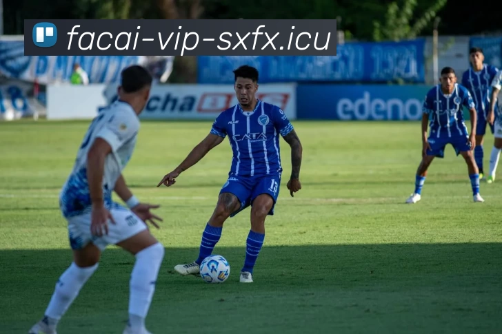 乐鱼体育注册品牌故事